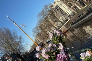 REDKULT: Punainen valoalue ja historiallinen keskusta