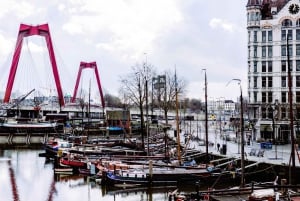 Rotterdam: All-in-one Walking Tour