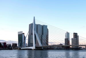 Rotterdam: All-in-one Walking Tour