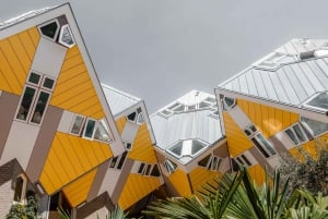 Rotterdam: All-in-one Walking Tour