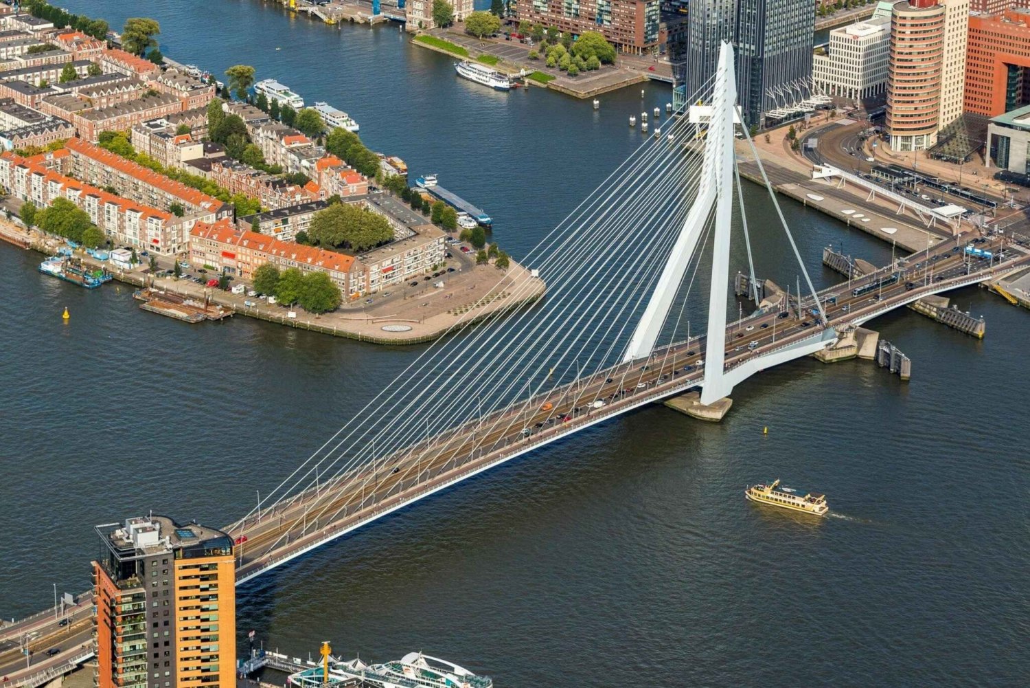 Visite à pied et en bateau de Rotterdam et de Kinderdijk (journée)
