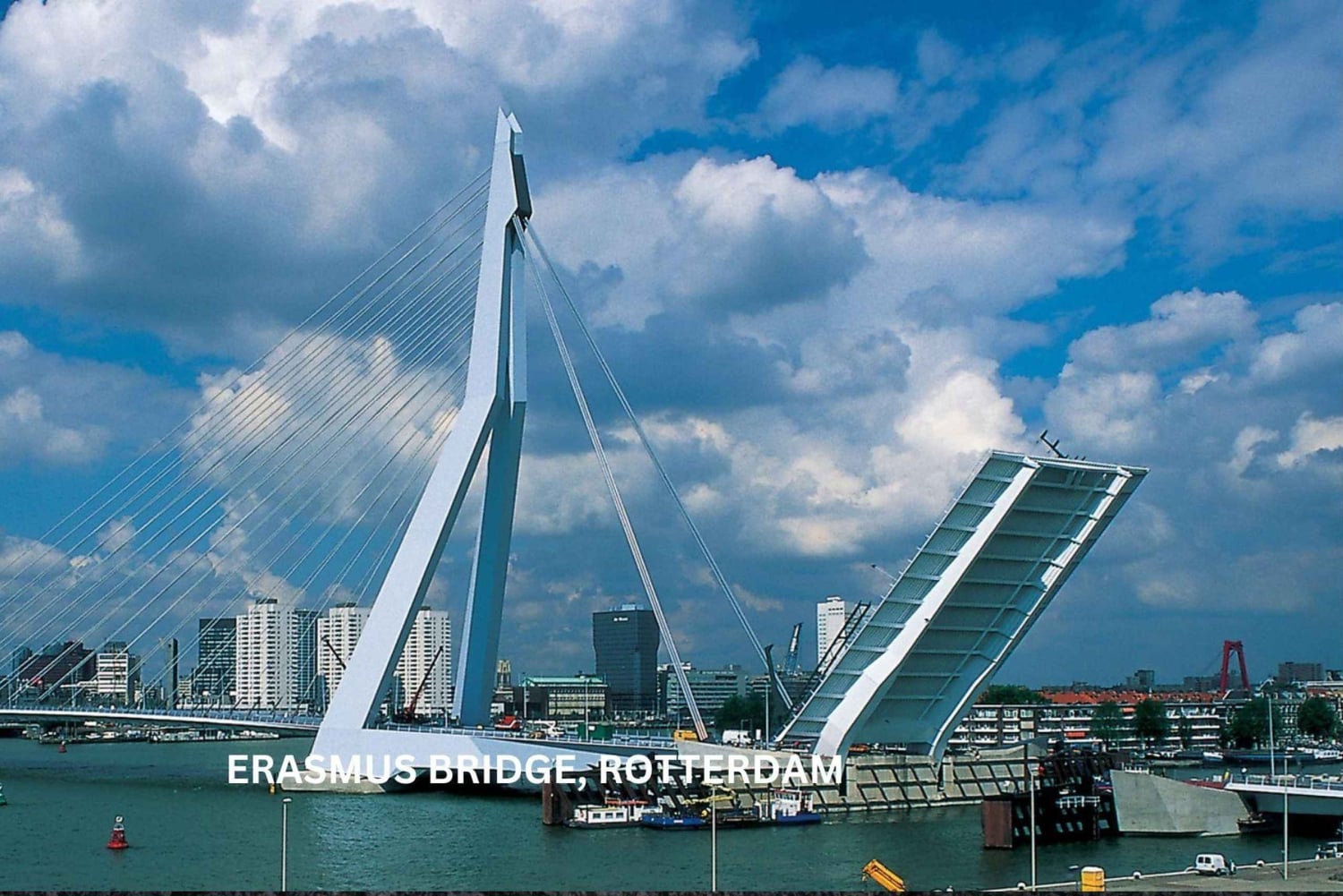 Rotterdam and Kinderdijk Daily Walking and Boat Tour