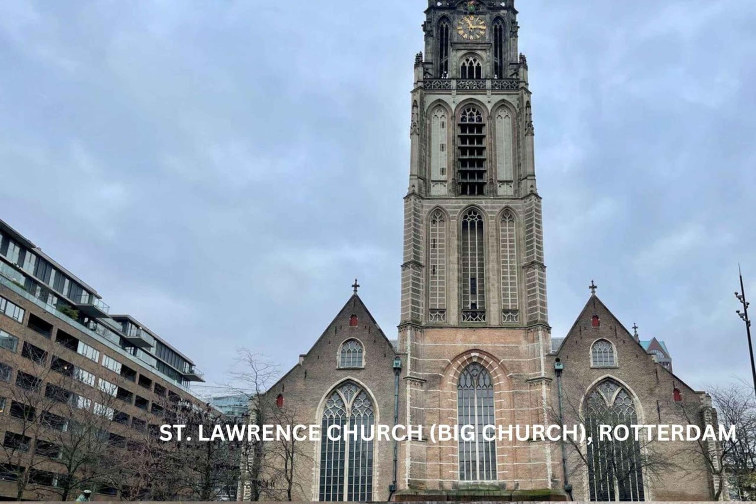 Rotterdam und Kinderdijk Tägliche Rundgangs- und Bootstour