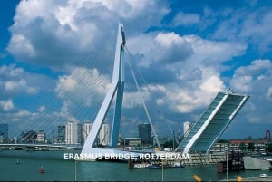 Rotterdam and Kinderdijk Daily Walking and Boat Tour