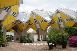 Rotterdam and Kinderdijk Daily Walking and Boat Tour