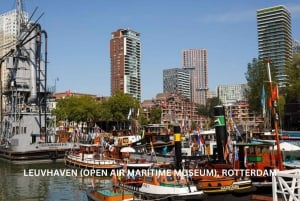 Rotterdam and Kinderdijk Daily Walking and Boat Tour