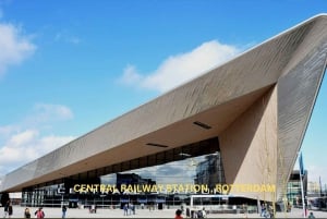 Rotterdam and Kinderdijk Daily Walking and Boat Tour