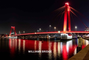 Rotterdam and Kinderdijk Daily Walking and Boat Tour