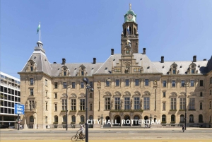 Rotterdam and Kinderdijk Daily Walking and Boat Tour