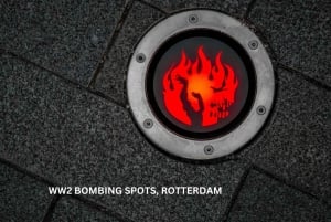 Rotterdam and Kinderdijk Daily Walking and Boat Tour