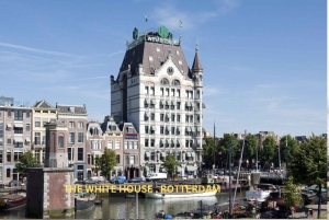 Rotterdam and Kinderdijk Daily Walking and Boat Tour