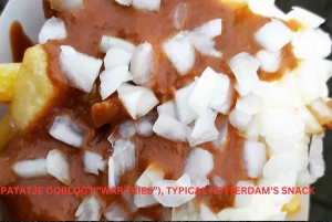 Rotterdam and Kinderdijk Daily Walking and Boat Tour