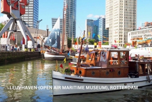 Rotterdam and Kinderdijk Daily Walking and Boat Tour