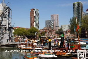 Rotterdam and Kinderdijk Daily Walking and Boat Tour