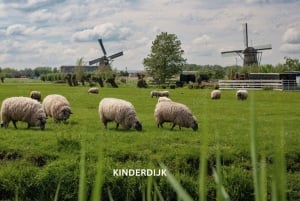 Rotterdam und Kinderdijk Tägliche Rundgangs- und Bootstour