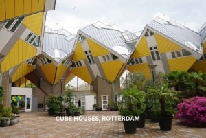 Rotterdam und Kinderdijk Tägliche Rundgangs- und Bootstour