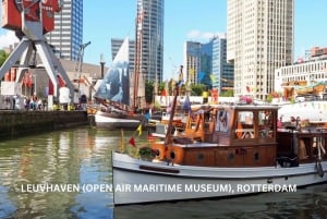 Rotterdam und Kinderdijk Tägliche Rundgangs- und Bootstour