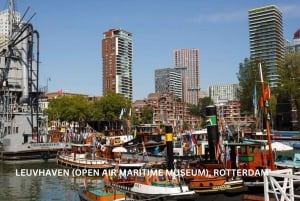 Rotterdam und Kinderdijk Tägliche Rundgangs- und Bootstour
