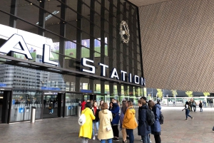 Rotterdam: Art and Architecture Highlights Walking Tour