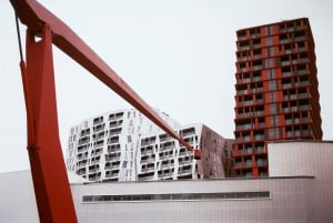 Rotterdam: Art and Architecture Highlights Walking Tour