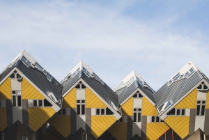 Rotterdam: Art and Architecture Highlights Walking Tour