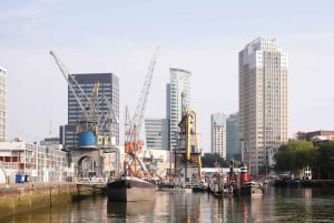 Rotterdam: Lo más destacado del arte y la arquitectura Tour a pie