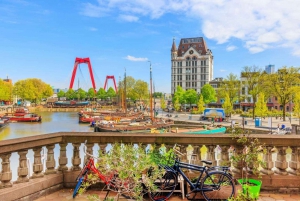 Tour privato di Rotterdam, L'Aia e Delft da Amsterdam in auto