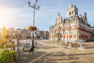 Rotterdam, La Haya y Delft en coche desde Ámsterdam