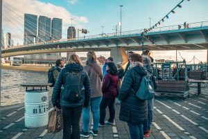 Rotterdam: Highlights & Gems Walking Tour with Dutch Local