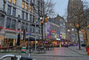 Rotterdam: Highlights & Hidden Gems Walking Tour with Local