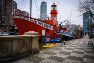 Rotterdam: Highlights & Hidden Gems Walking Tour with Local