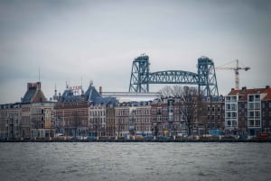 Rotterdam: Highlights & Hidden Gems Walking Tour with Local