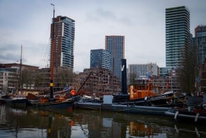 Rotterdam: Highlights & Hidden Gems Walking Tour with Local