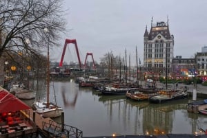 Rotterdam: Highlights & Hidden Gems Walking Tour with Local