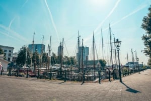 Rotterdam: Highlights & Hidden Gems Walking Tour with Local