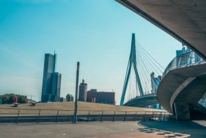 Rotterdam: Highlights & Hidden Gems Walking Tour with Local