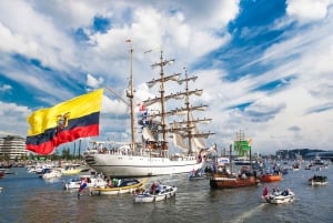 SAIL Amsterdam 2025 Cruise including Drinks (100 minutes)