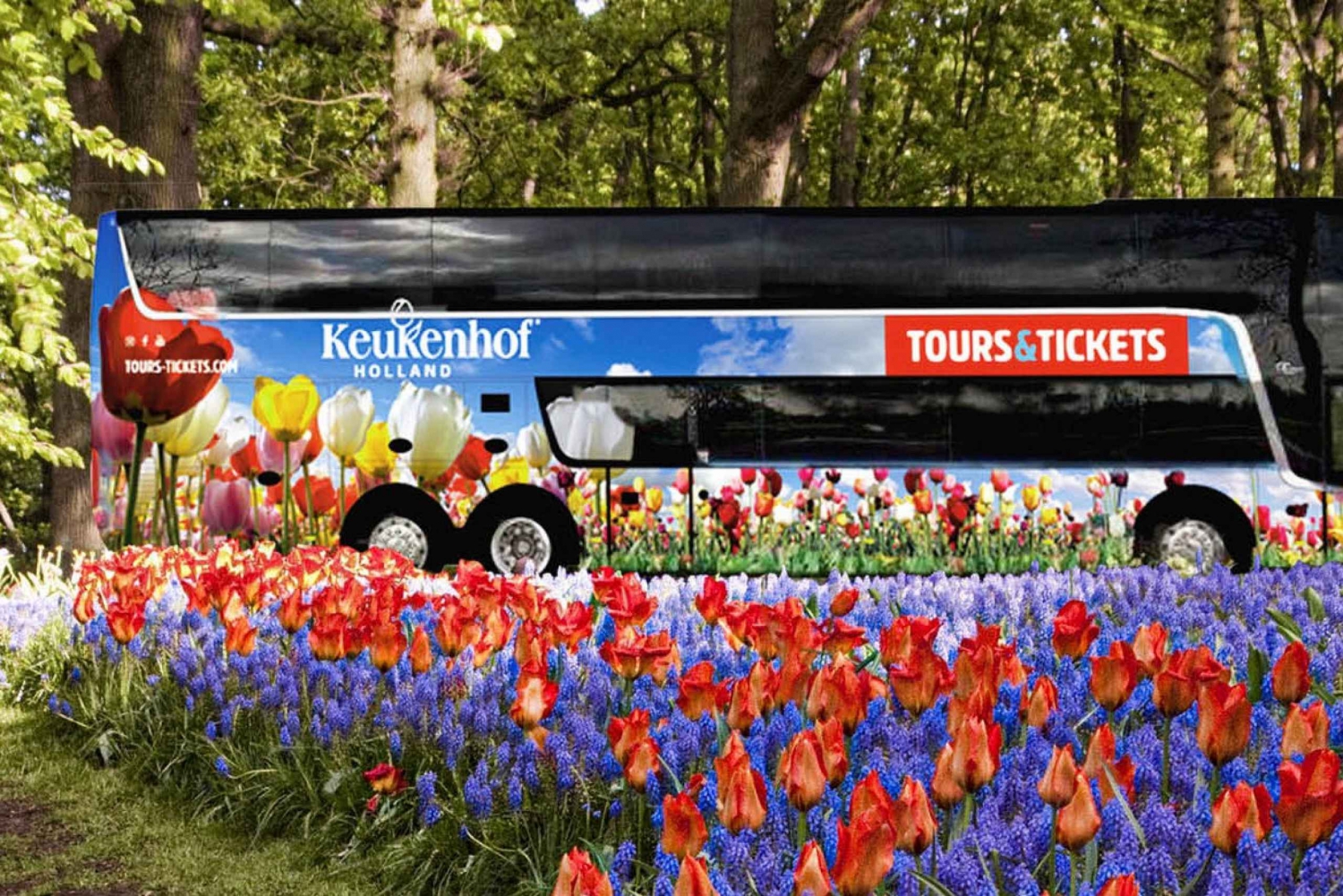 From Amsterdam: Keukenhof Flower Park Trip with Transfer
