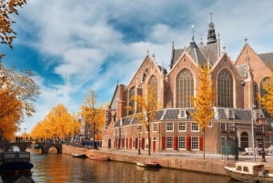 Amsterdam : Visite privée du Rijksmuseum avec prise en charge optionnelle