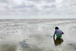 Amsterdam : Une expérience inoubliable du tir à l'arc !