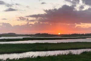 Small group full day island tour to Texel from Amsterdam