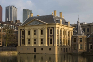 Small Group Tour: Kinderdijk, The Hague & Bonus Attraction