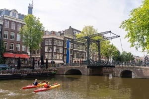 Small-Group Walking Tour with Amsterdam Canal Cruise
