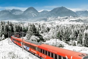 The Good Night Train to travel between Amsterdam and Berlin