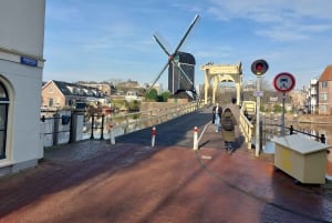 Haag ja Leiden: yksityiskierros paikallisen oppaan kanssa