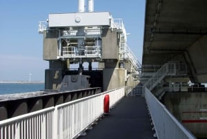 Paesi Bassi: Escursione privata di un giorno alle opere del Delta olandese