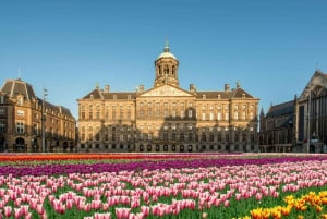 Top Skydeck Fast-Track Tickets, Amsterdam Viewpoint Tour