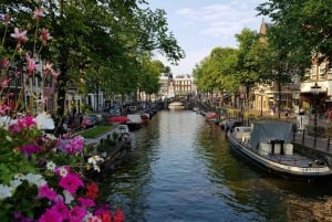 Wycieczka do Utrechtu, na Zamek Haar i do Breukelen + przewodnik i prywatny samochód