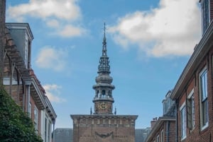 Wycieczka do Utrechtu, na Zamek Haar i do Breukelen + przewodnik i prywatny samochód