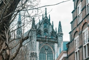 Wycieczka do Utrechtu, na Zamek Haar i do Breukelen + przewodnik i prywatny samochód